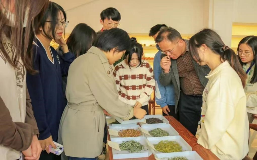 以茶为约，静叙美好——茶文化雅集邀你共赴