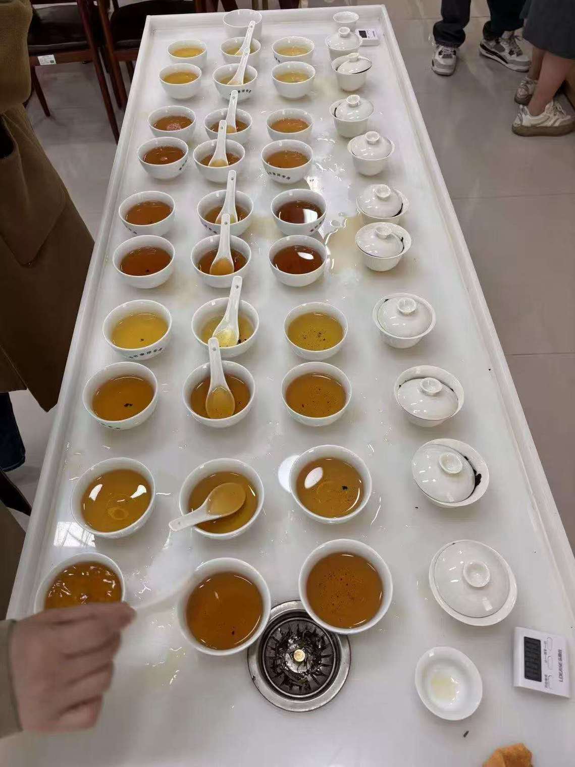 茶香迷踪・舌尖寻真—— 盲品识茶活动开始报名啦～